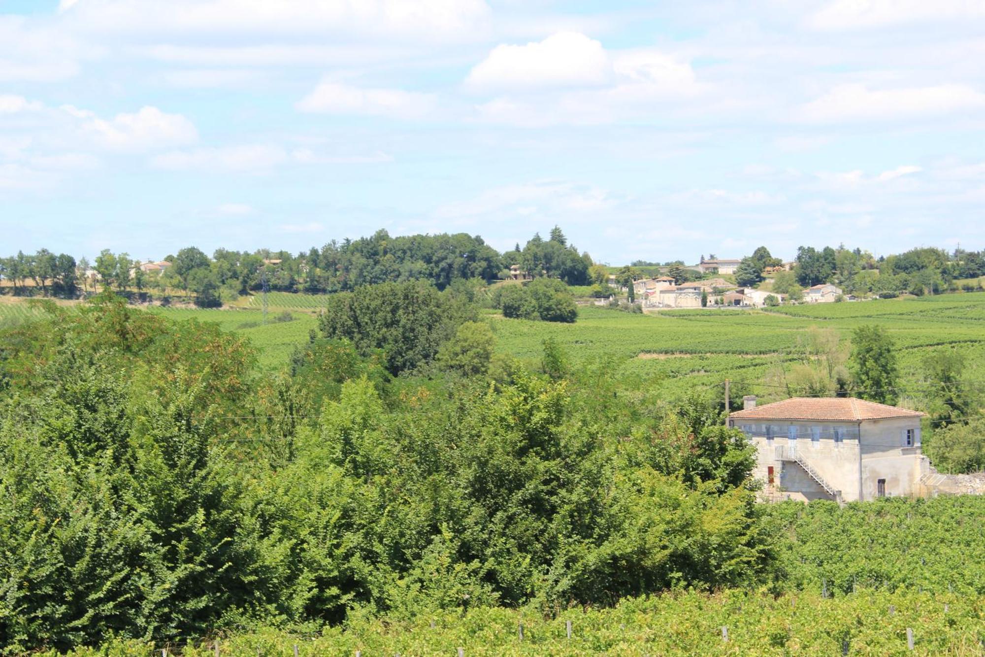Les Charmes De Vincent - Le Loft Cabernet Fronsac (Gironde) Exterior foto